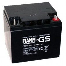 Fiamm FGC24204 lead-acid battery