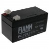 Fiamm FG20121 lead acid battery 12 Volt